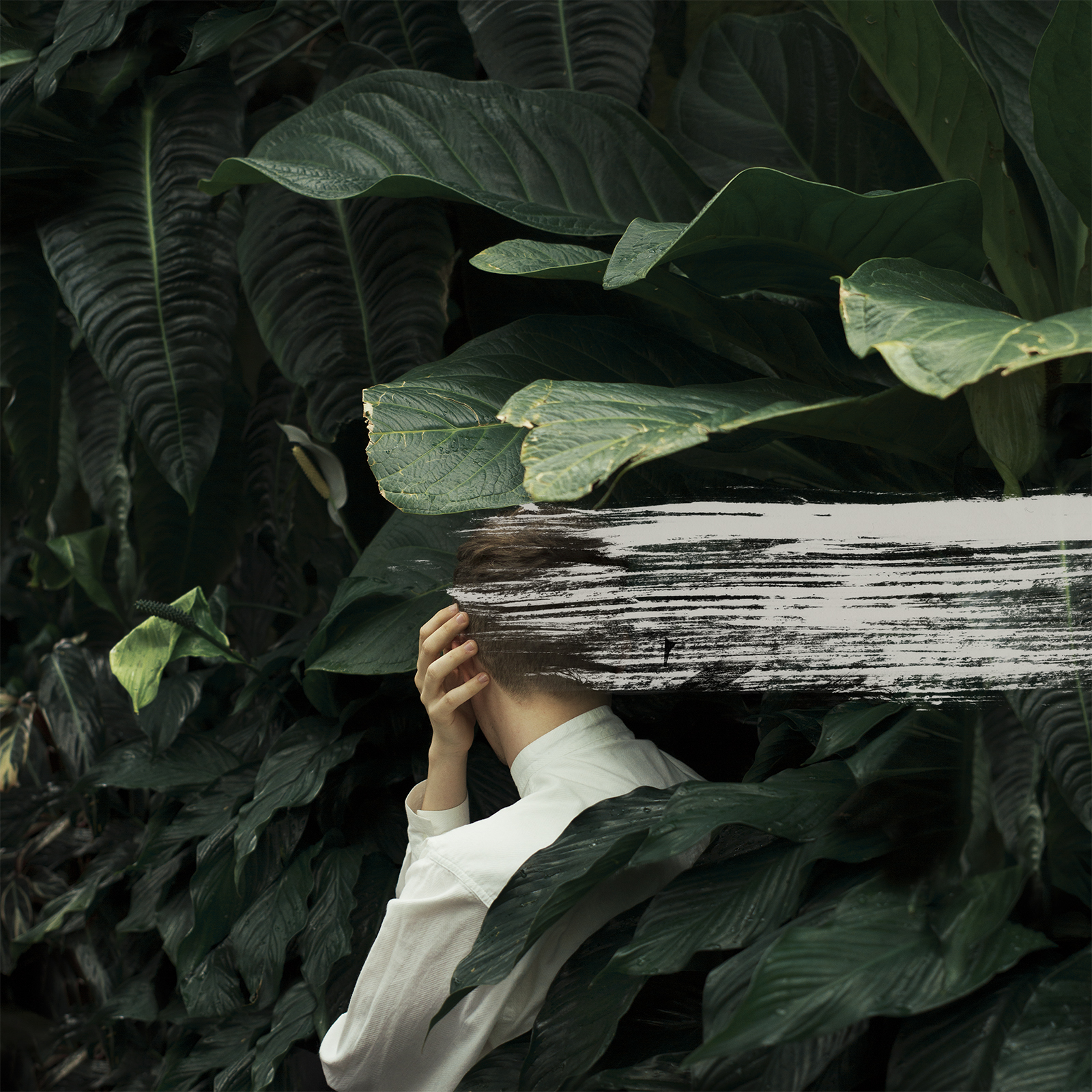 from-indian-lakes-everything-feels-better-now